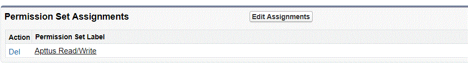 Permission Set Assignment