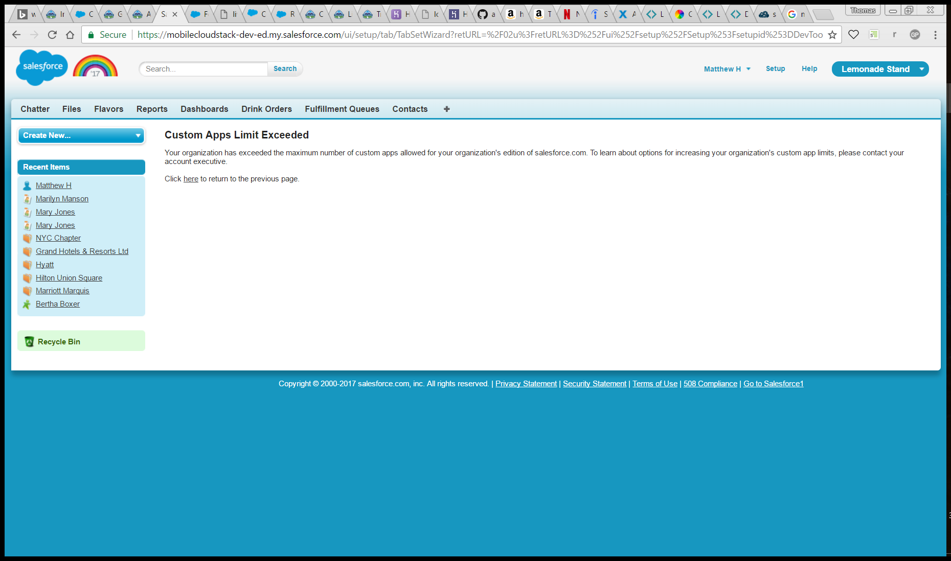 Custom Object Limit Exceeded in Developer Account