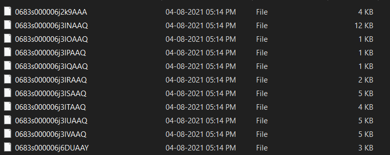 Downloaded Files from Data Export