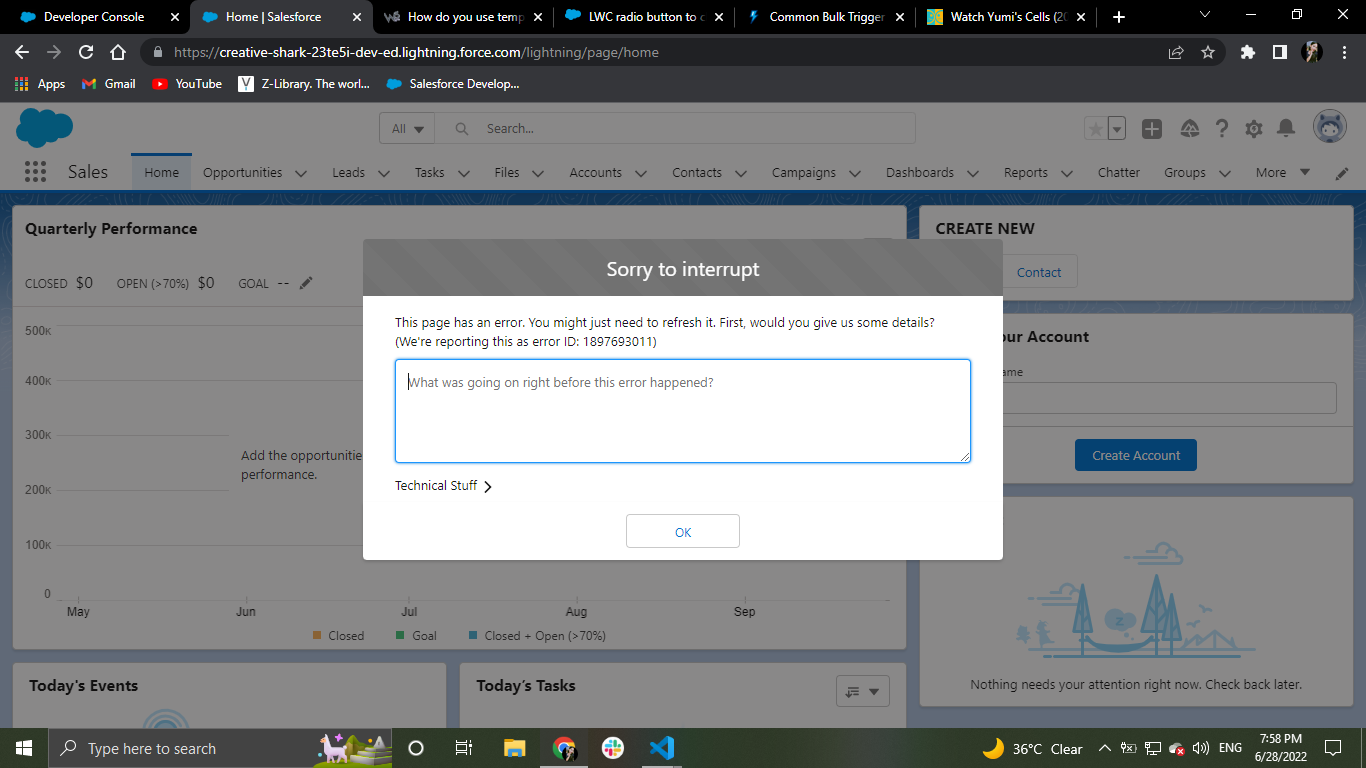 The error on Salesforce Page