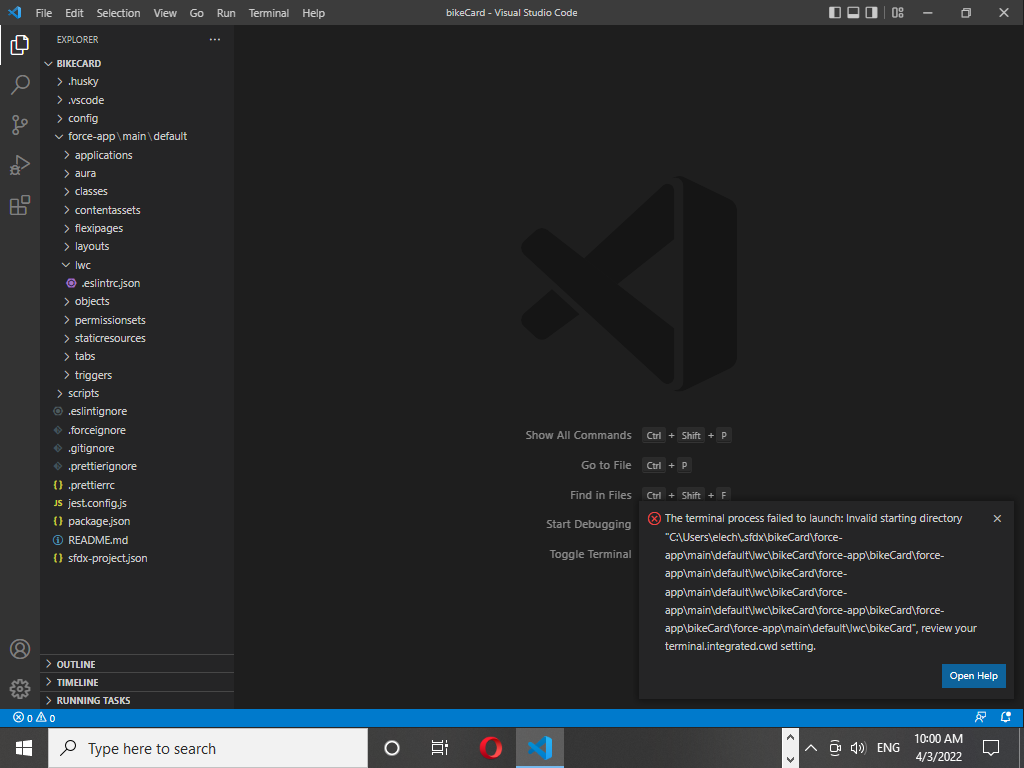 VS Code Terminal message