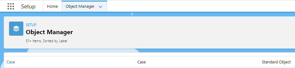 Case Standard Object