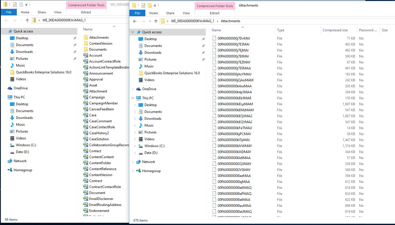 Salesforce Export Issue