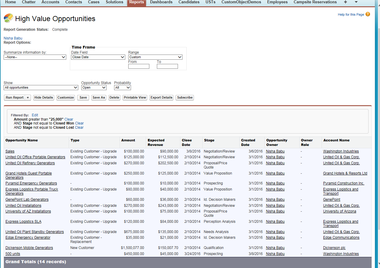 The generated report for the opportunities