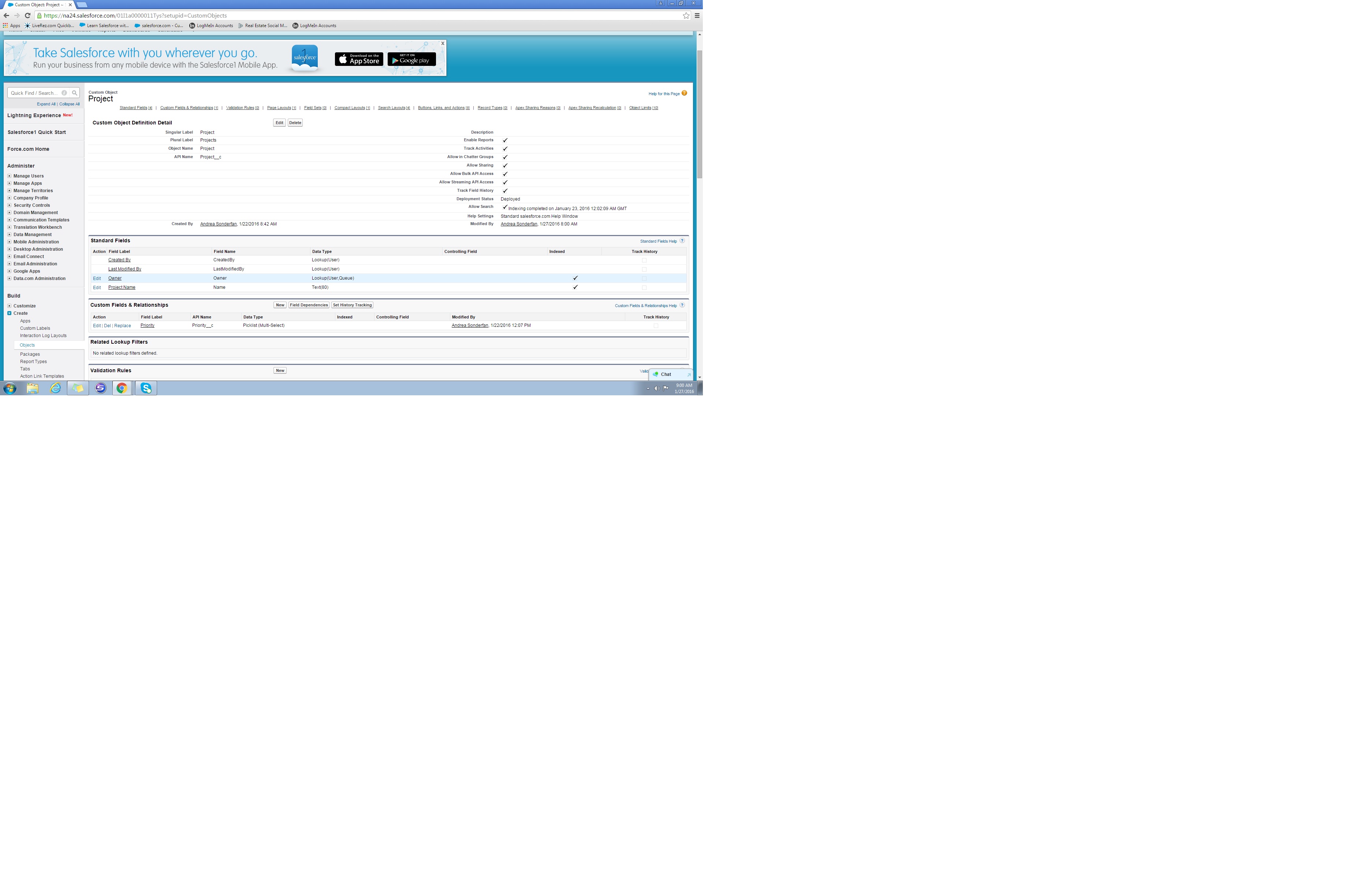 Project Object shown with Custom Priority Field