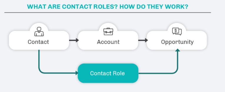 What is contact role